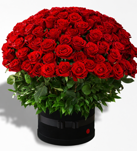 Kadife gül tasarım